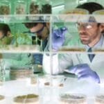 Food Consultants in Chennai 
