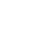 Software Developer